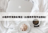 小程序开发排名情况（小程序开发平台排名）