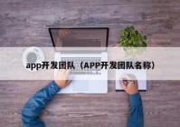 app开发团队（APP开发团队名称）