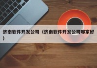 济南软件开发公司（济南软件开发公司哪家好）