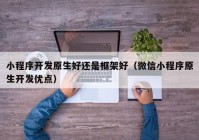 小程序开发原生好还是框架好（微信小程序原生开发优点）