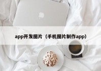 app开发图片（手机图片制作app）