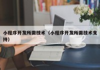 小程序开发所需技术（小程序开发所需技术支持）