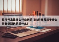 软件开发是什么行业代码（软件开发属于什么行业类别代码是什么）