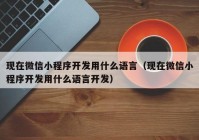 现在微信小程序开发用什么语言（现在微信小程序开发用什么语言开发）