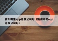 衢州哪里app开发公司好（衢州哪里app开发公司好）