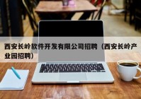 西安长岭软件开发有限公司招聘（西安长岭产业园招聘）