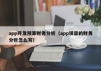 app开发预算财务分析（app项目的财务分析怎么写）