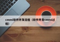 cmmi软件开发流程（软件开发cmmi过程）